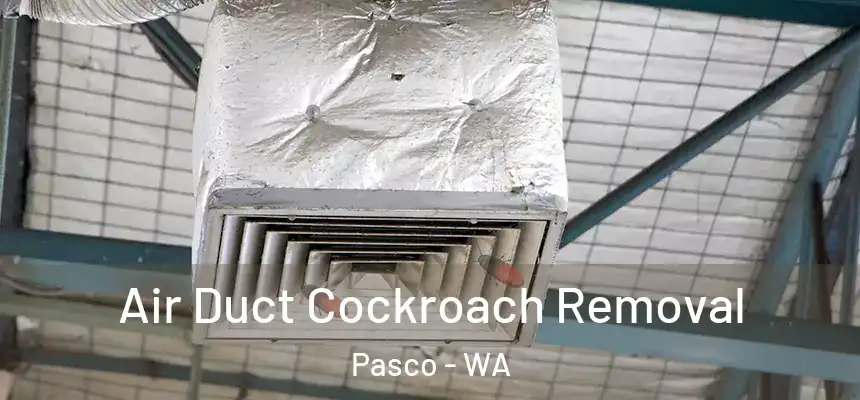  Air Duct Cockroach Removal Pasco - WA