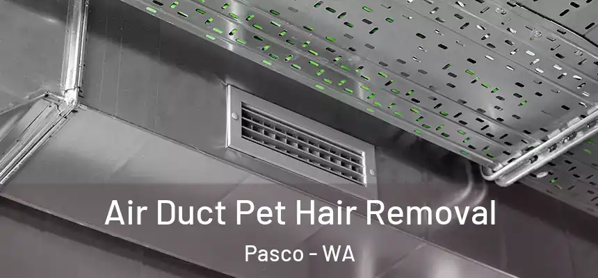  Air Duct Pet Hair Removal Pasco - WA