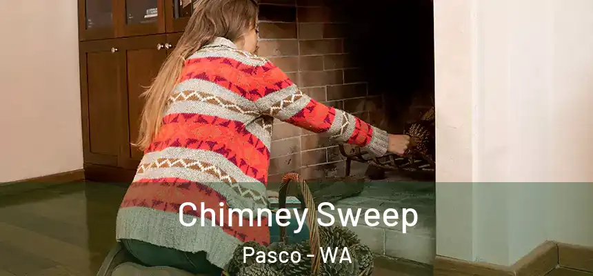  Chimney Sweep Pasco - WA