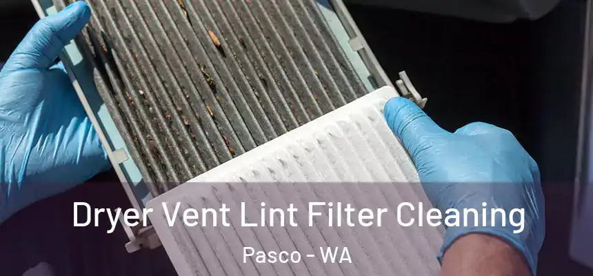  Dryer Vent Lint Filter Cleaning Pasco - WA
