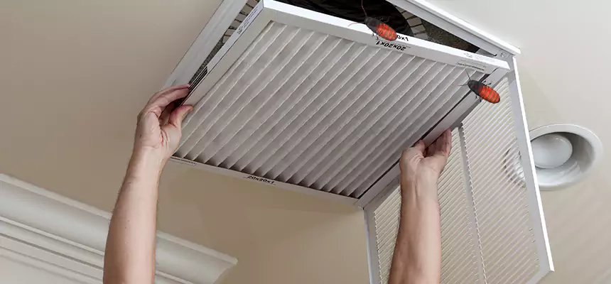 Our Insect Removal from Air Ducts Services in Pasco, WA