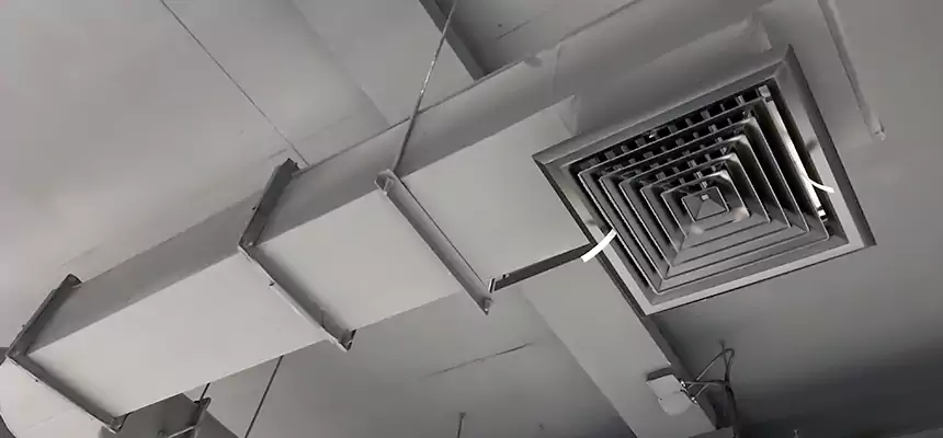 Our Pest Removal From Ducts Services in Pasco, WA