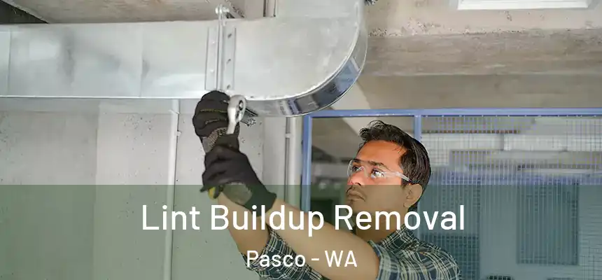  Lint Buildup Removal Pasco - WA