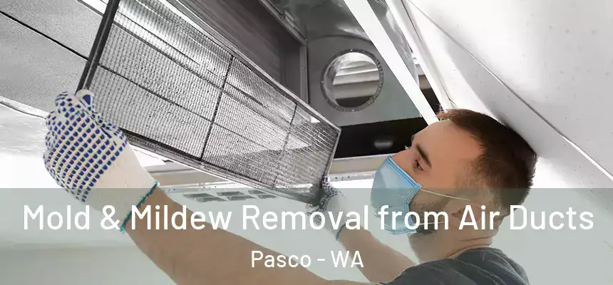  Mold & Mildew Removal from Air Ducts Pasco - WA