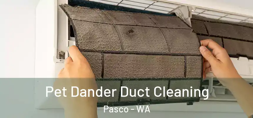  Pet Dander Duct Cleaning Pasco - WA