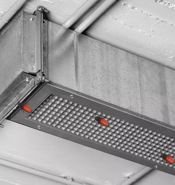 About Air Duct Cockroach Removal in Pasco, WA
