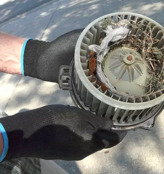 About Air Duct Mice Removal in Pasco, WA