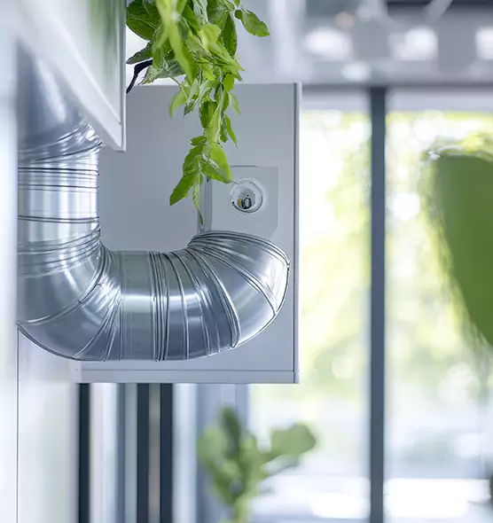 Professional Eco-Friendly Duct Cleaning Services in Pasco, WA