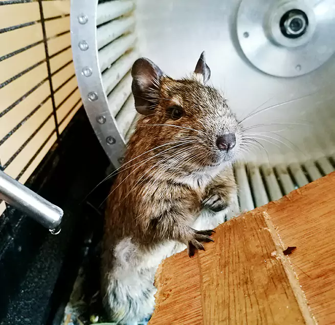 Why Homeowners & Businesses Trust Us Pasco, WA