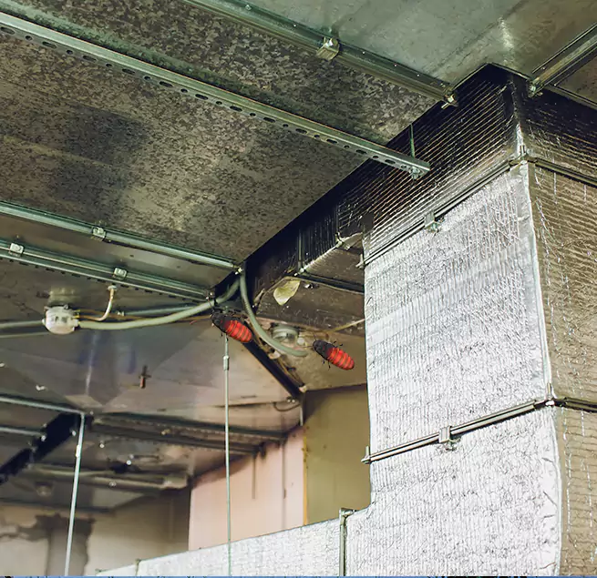 Why Homeowners & Businesses Trust Us Pasco, WA?